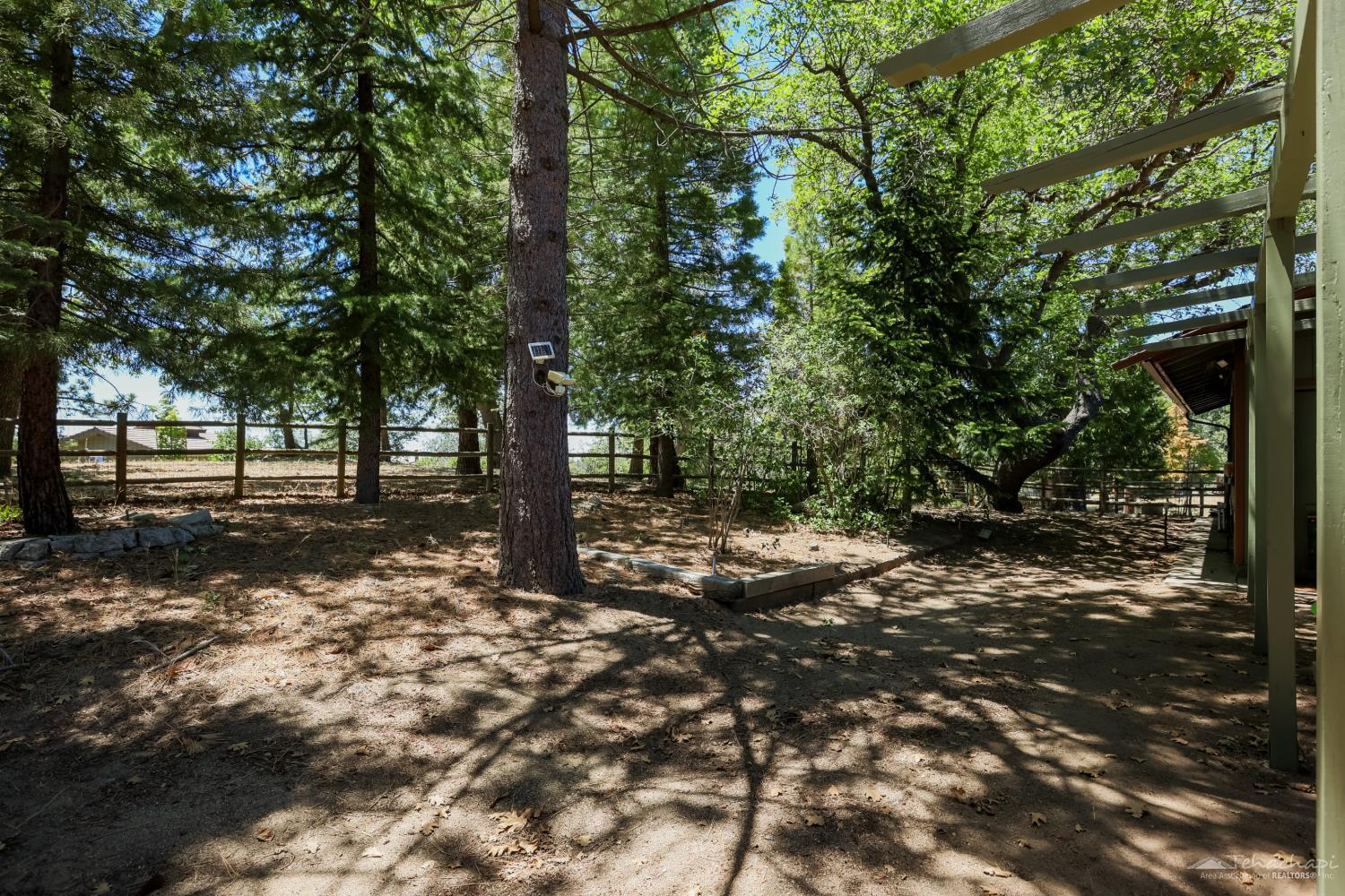 Woodview Court photo 4