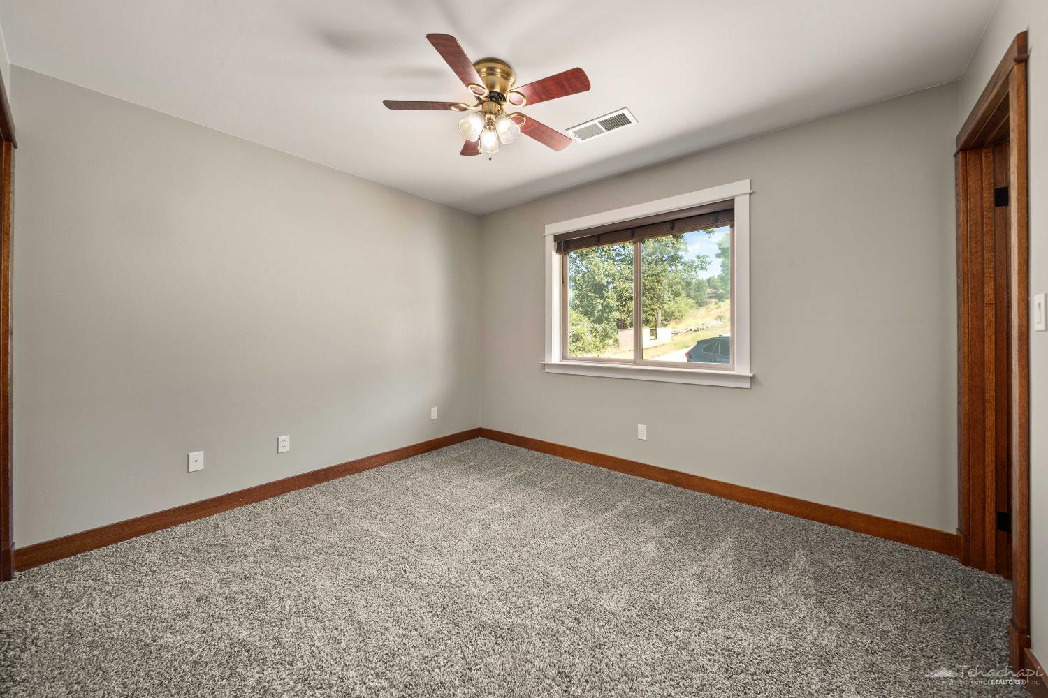 Goldspike Road photo 16