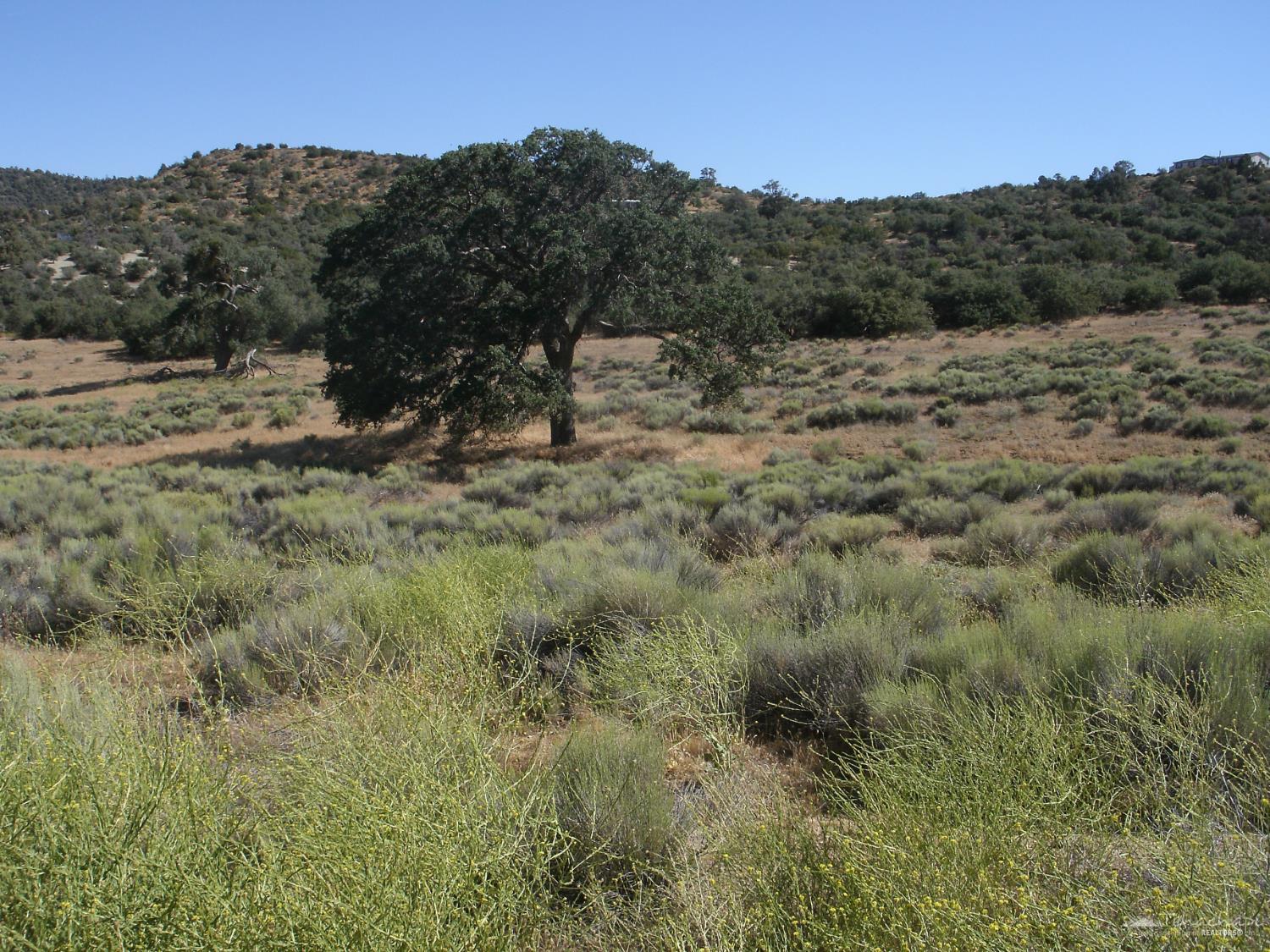 Umtali Road, Tehachapi