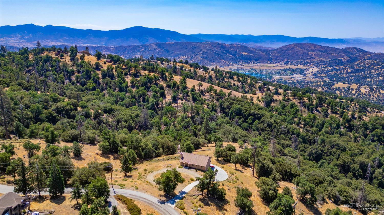 Goldspike Road photo 5