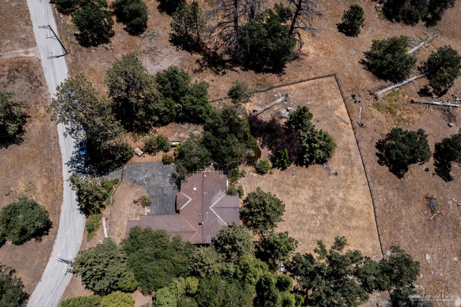 Woodview Court photo 23