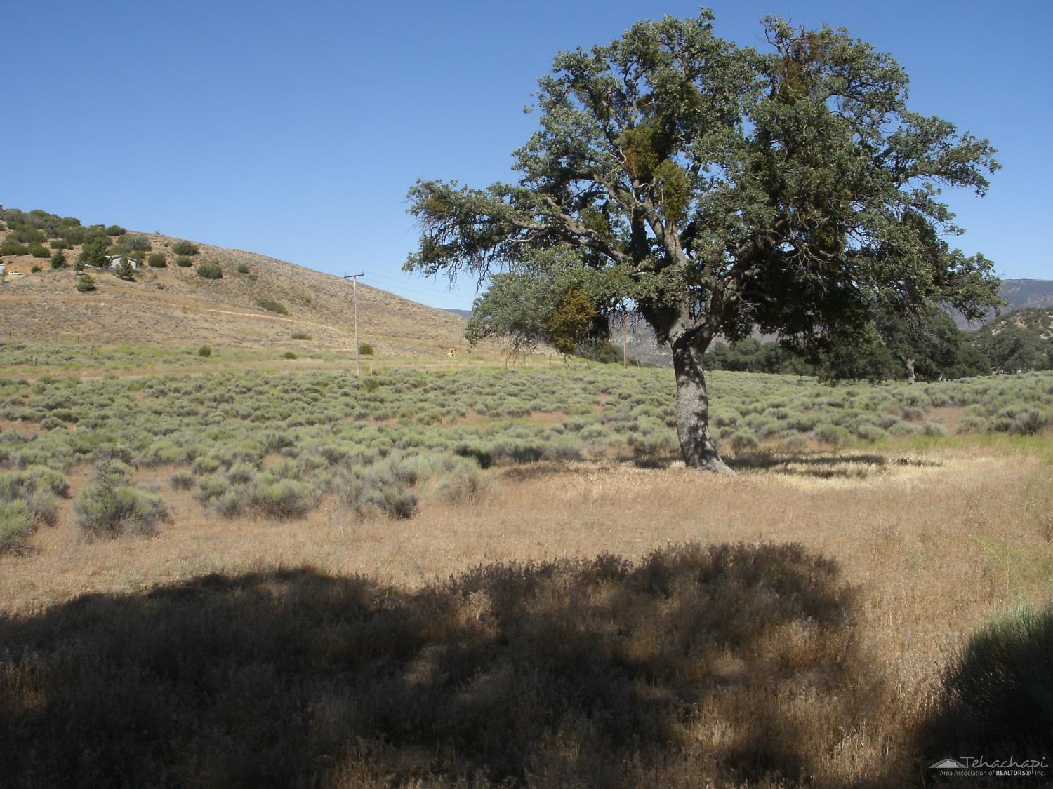 Umtali Road photo 4