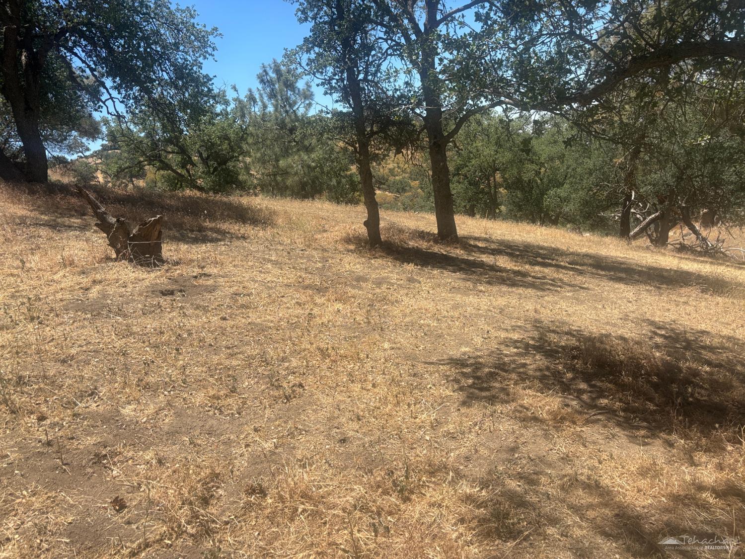 Quail Dr photo 12