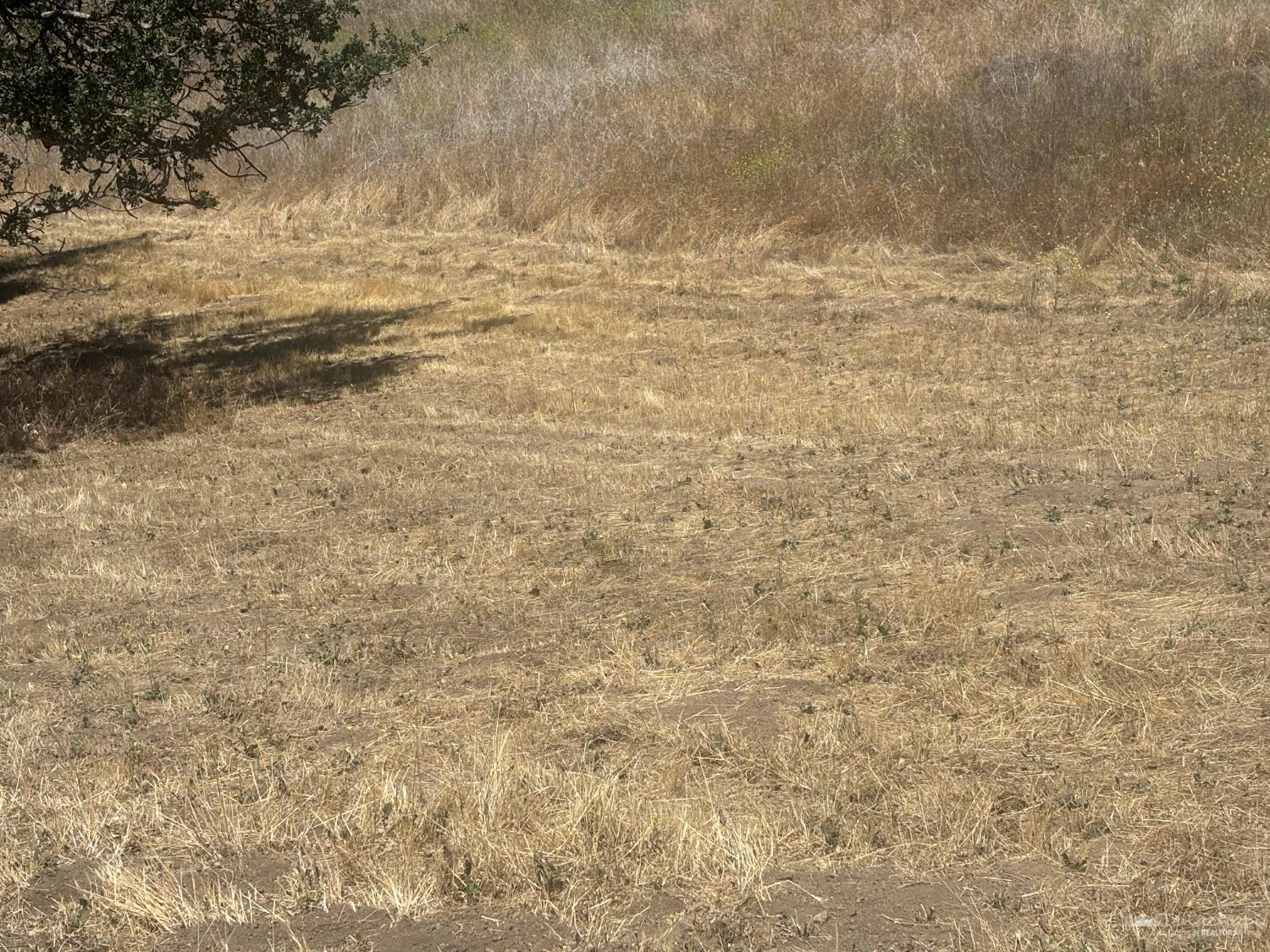Quail Dr photo 10