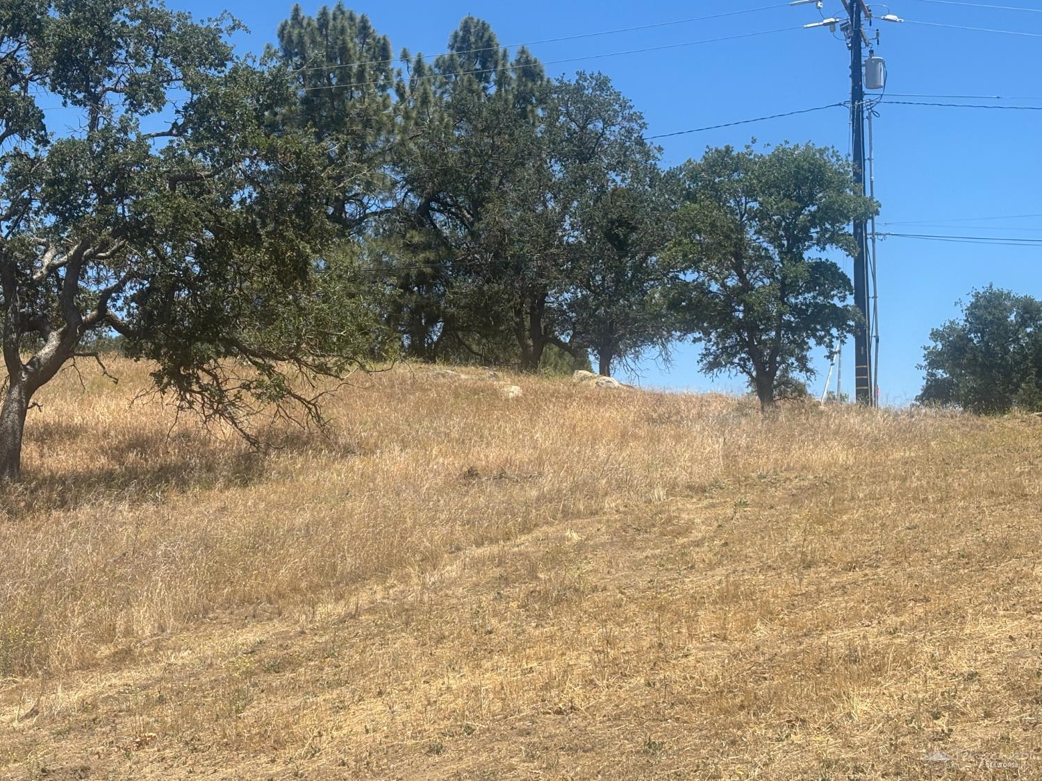 Quail Dr photo 11