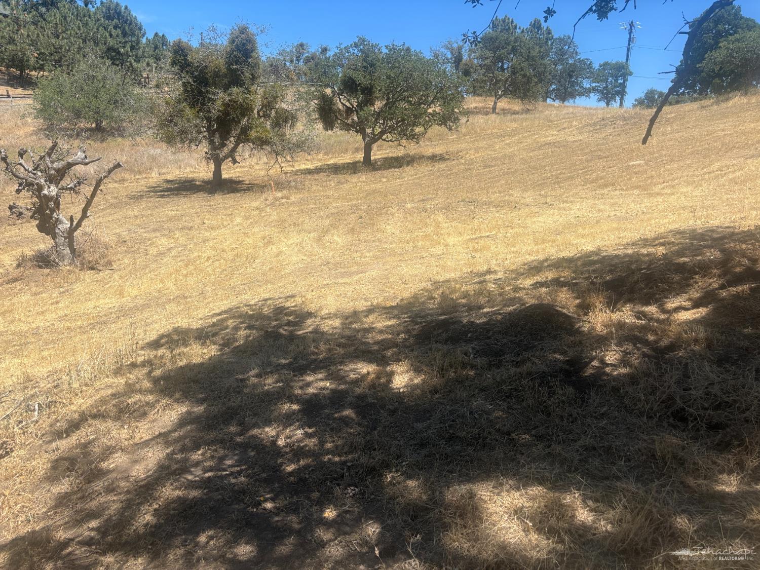 Quail Dr photo 13