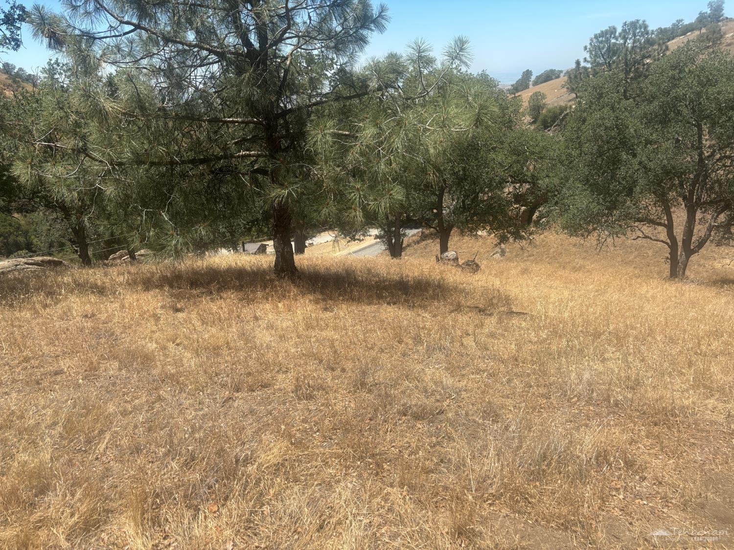 Quail Dr photo 15