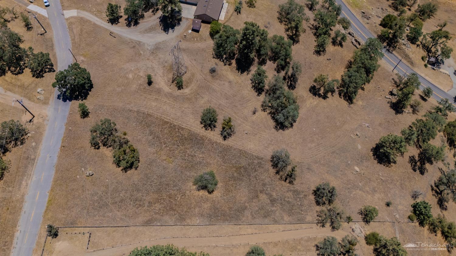 Quail Dr photo 20