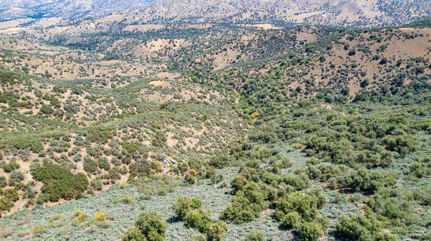 El Rancho Drive photo 17