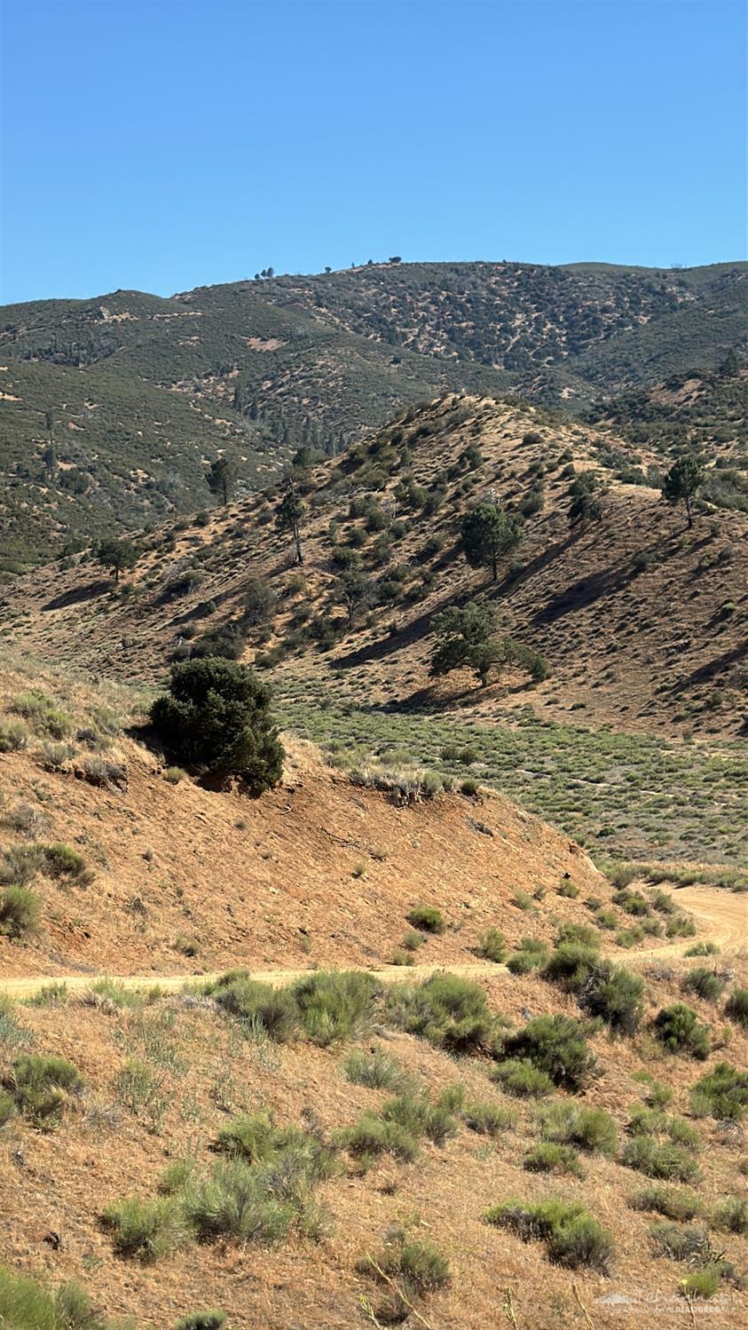 Vogel Road photo 13