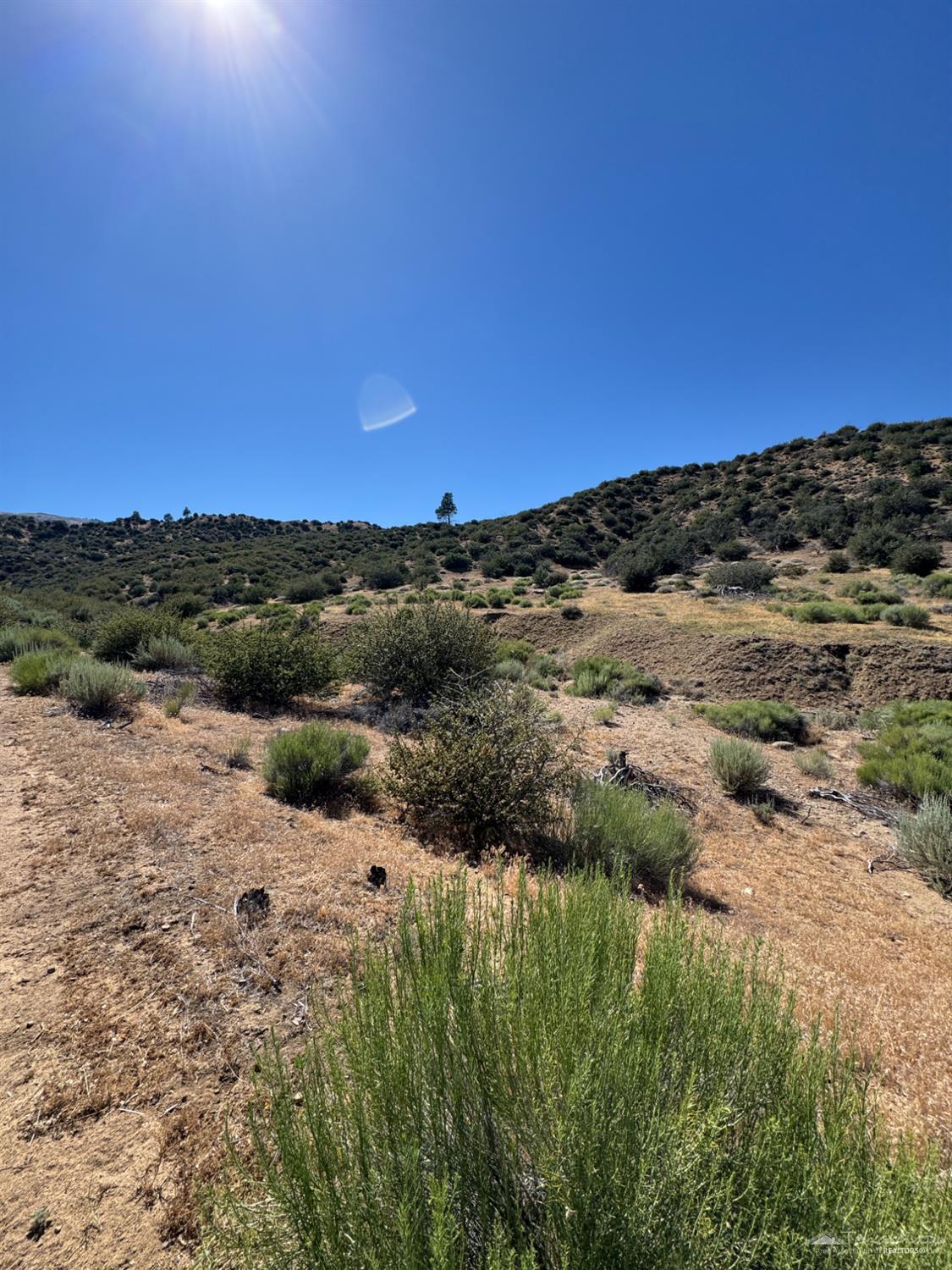 Vogel Road photo 10