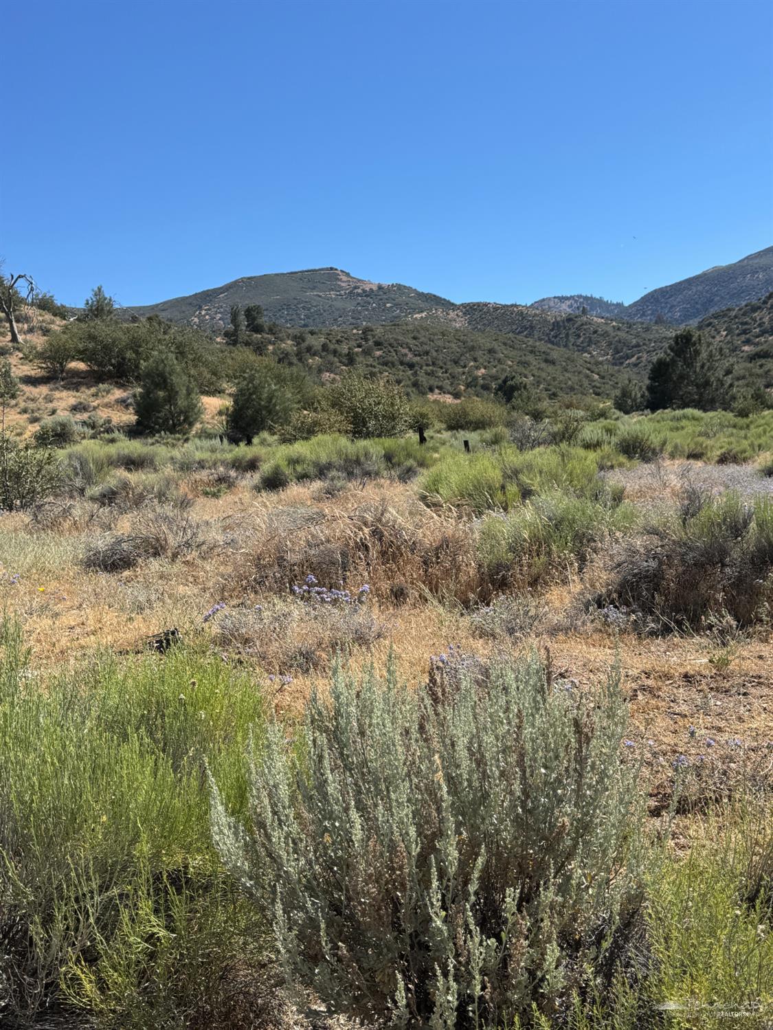 Vogel Road photo 3
