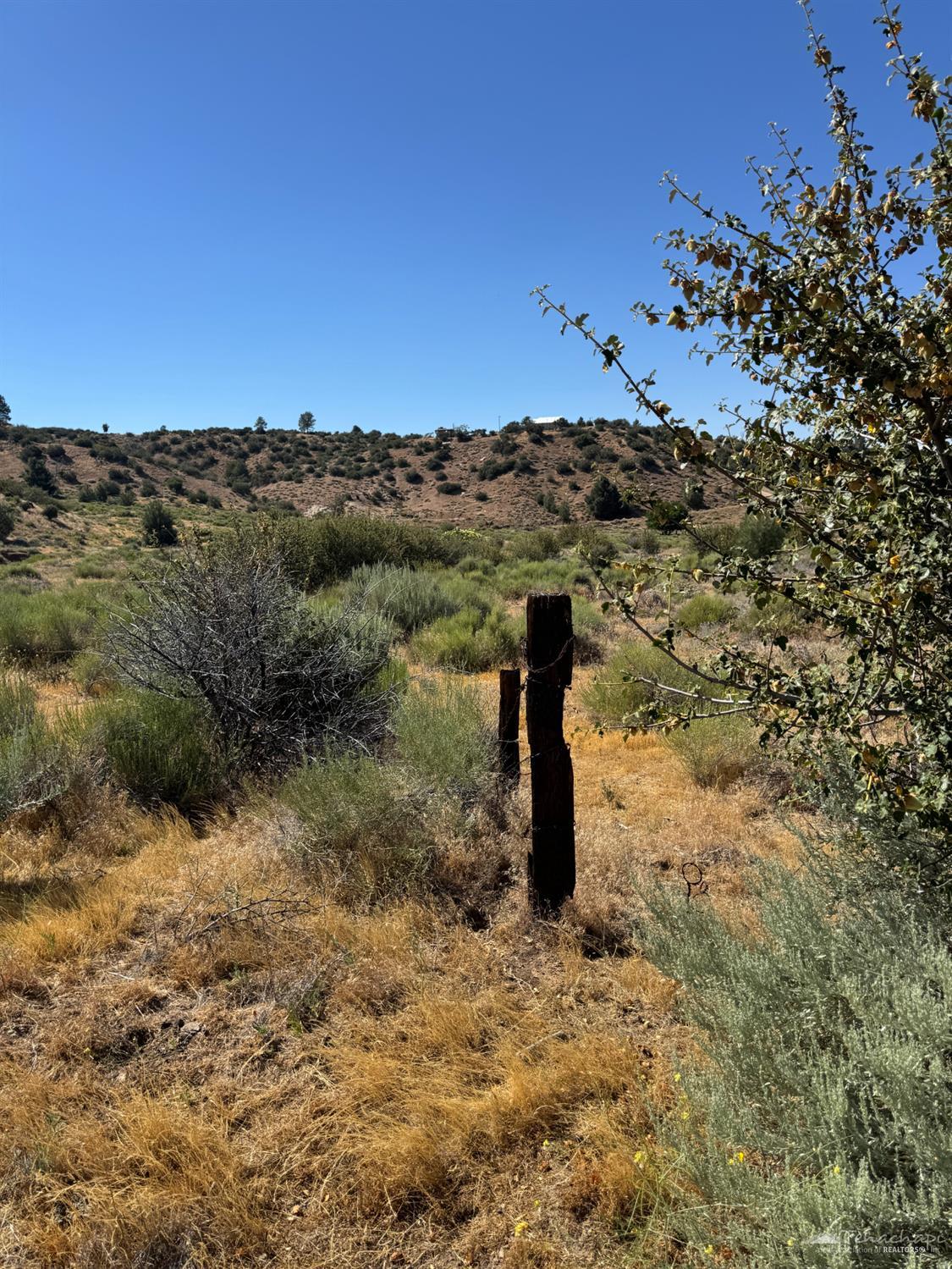 Vogel Road photo 11