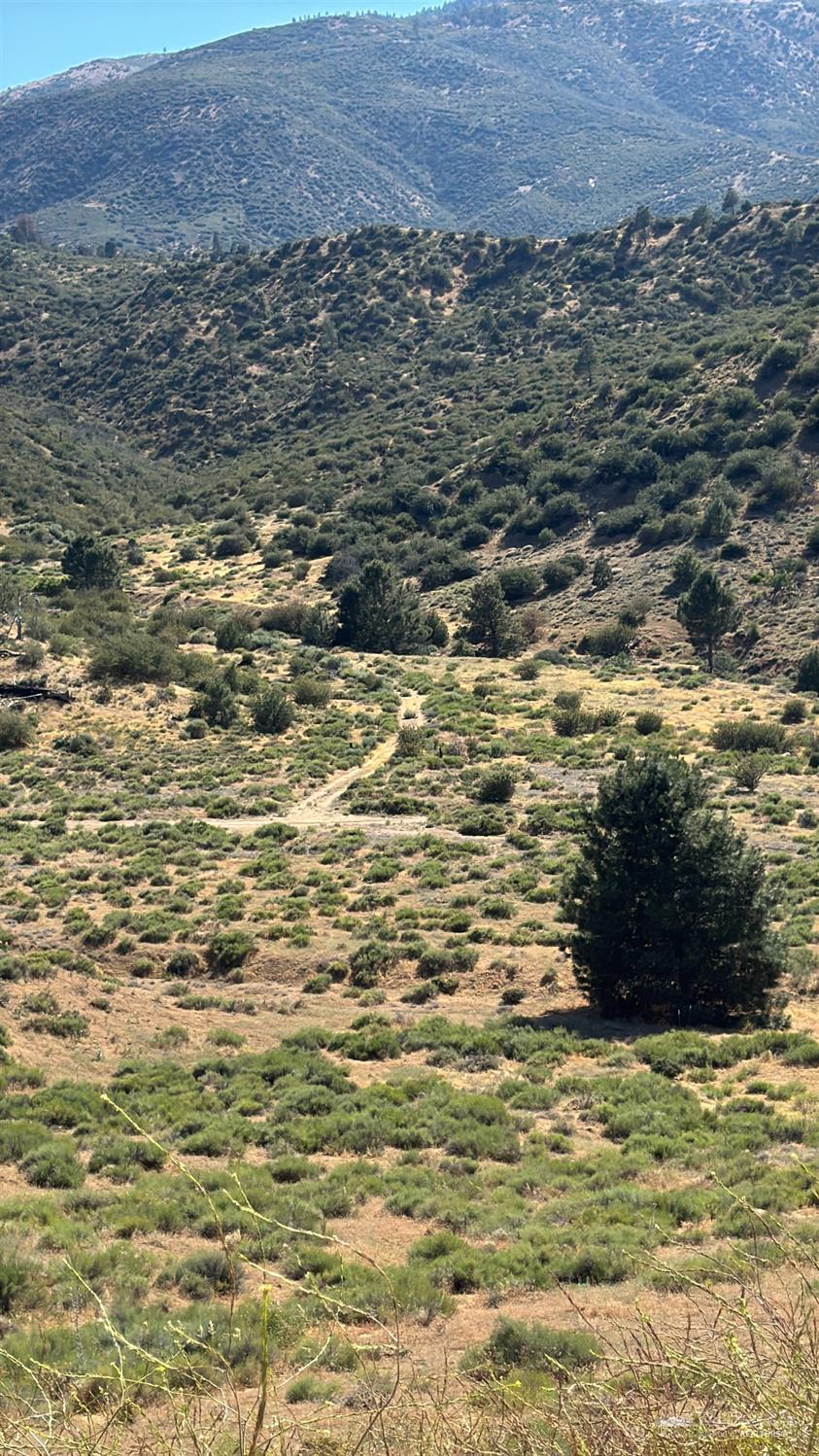 Vogel Road photo 12