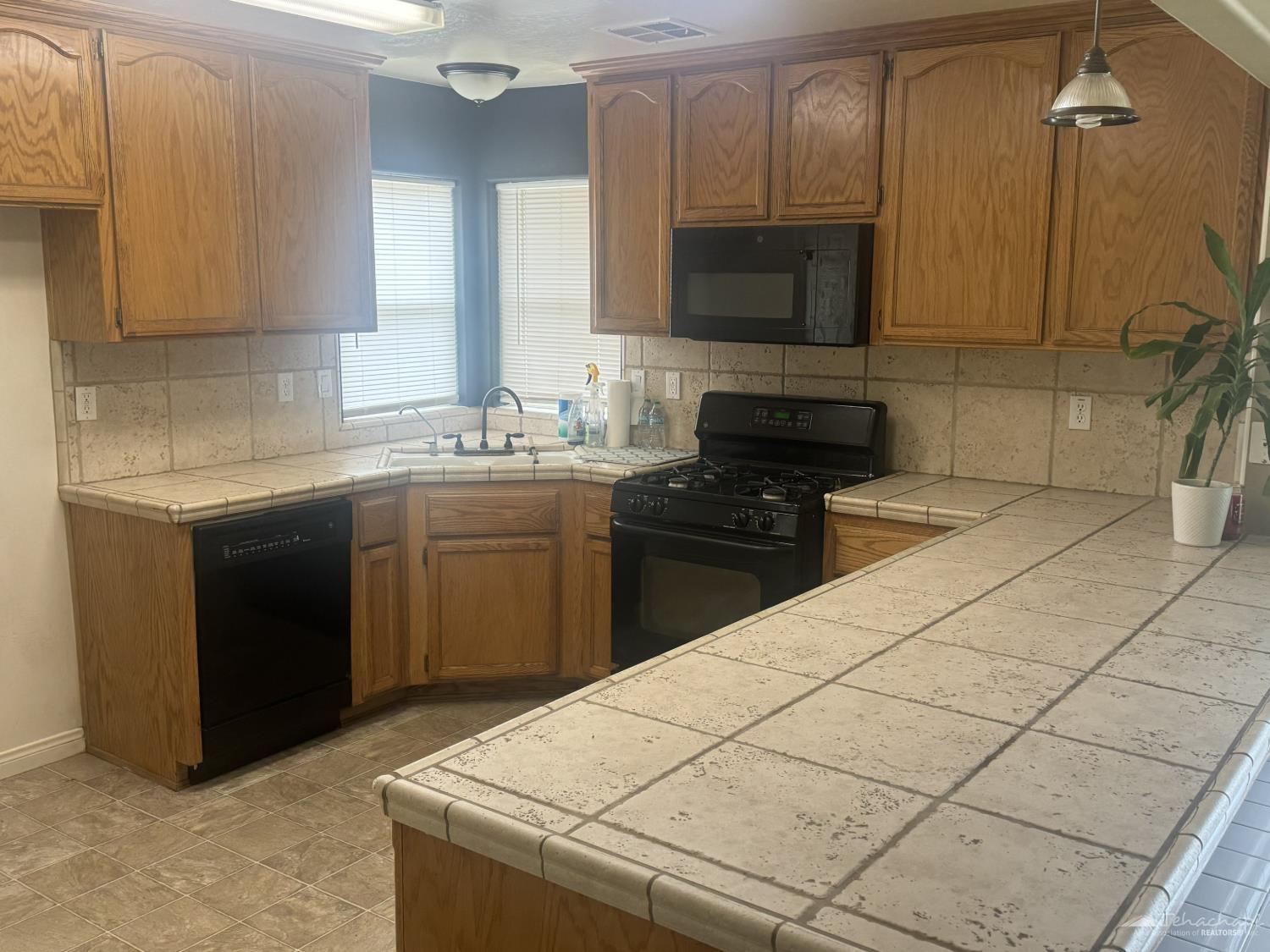 Basil Drive photo 4