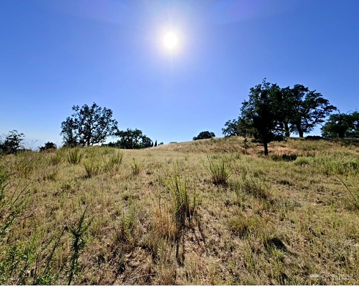 Deertrail Drive photo 14