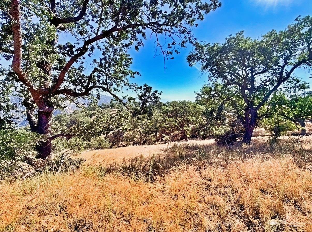 Deertrail Drive photo 4