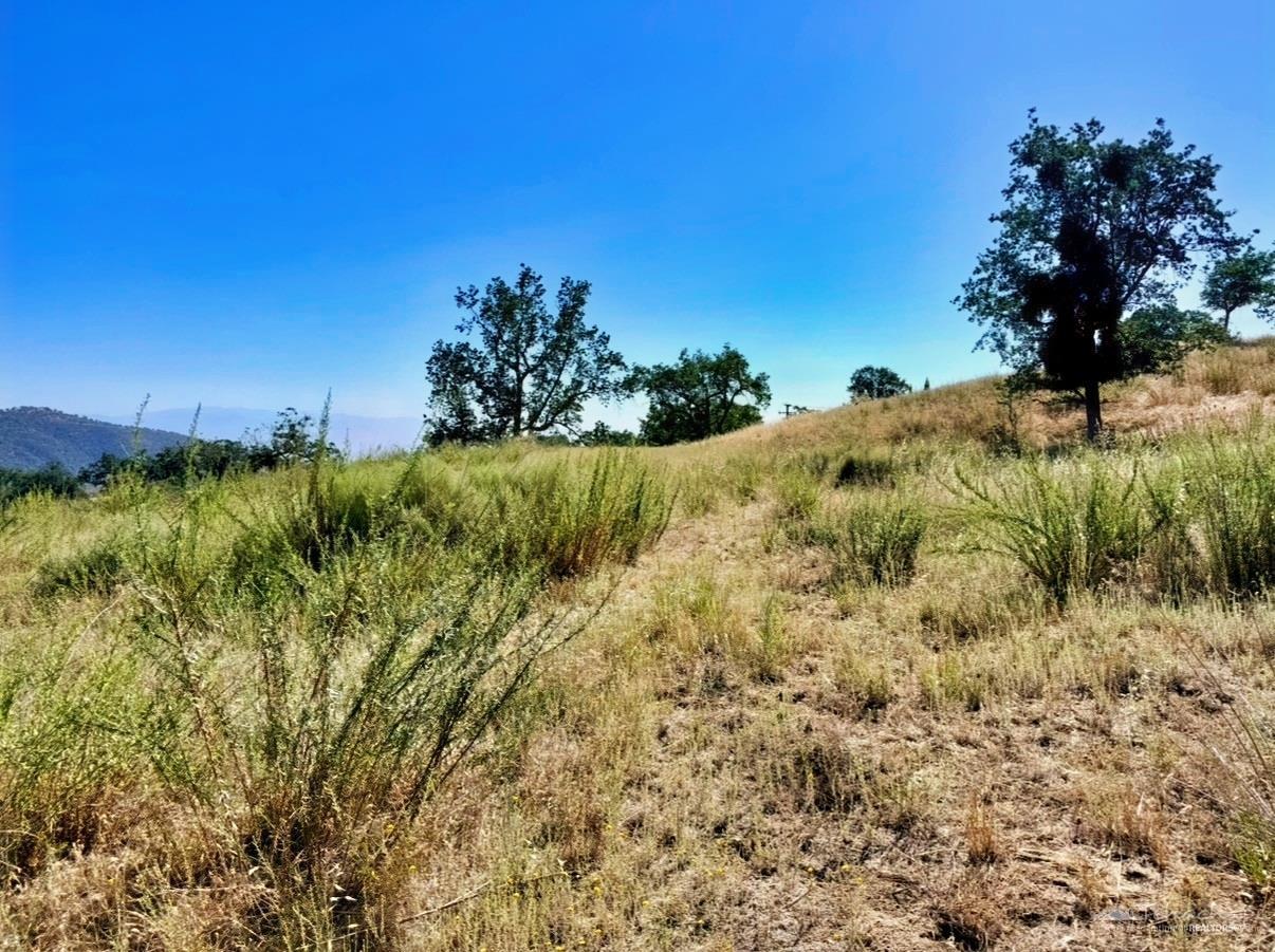 Deertrail Drive photo 8
