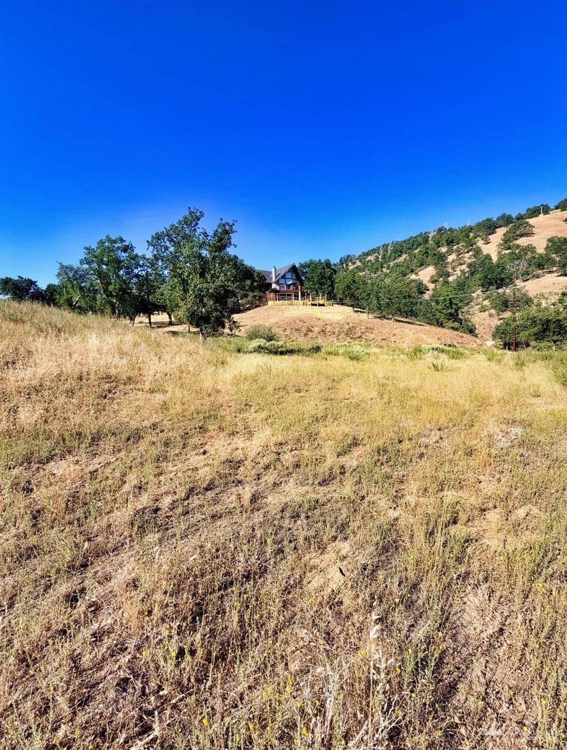 Deertrail Drive photo 6