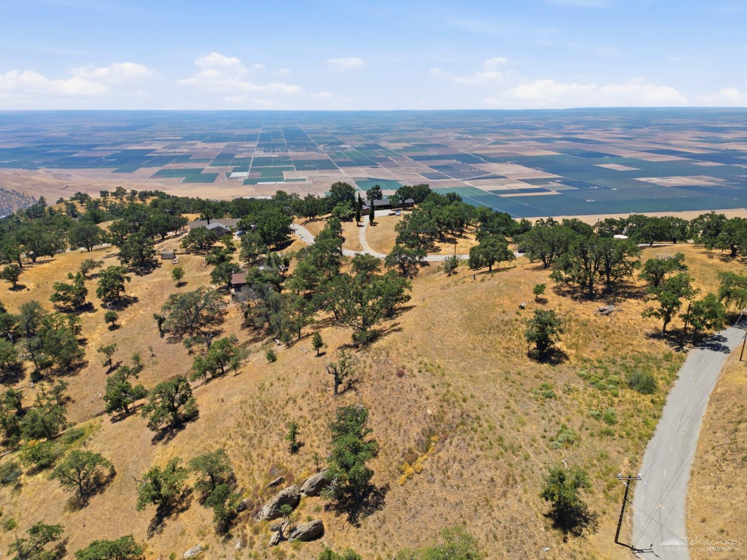 Deertrail Drive photo 24