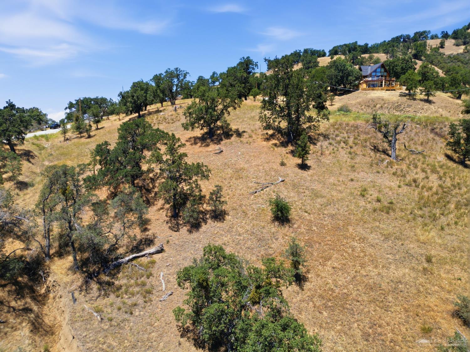 Deertrail Drive photo 16