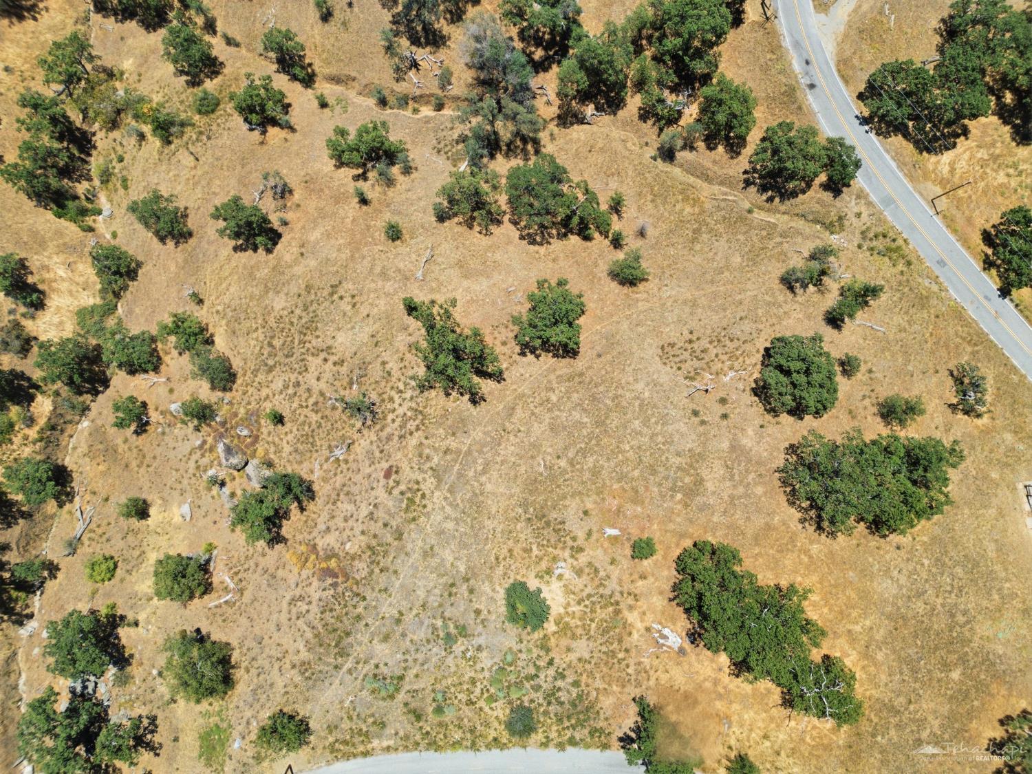 Deertrail Drive photo 18