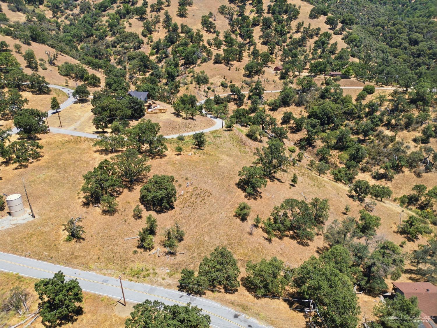 Deertrail Drive photo 22