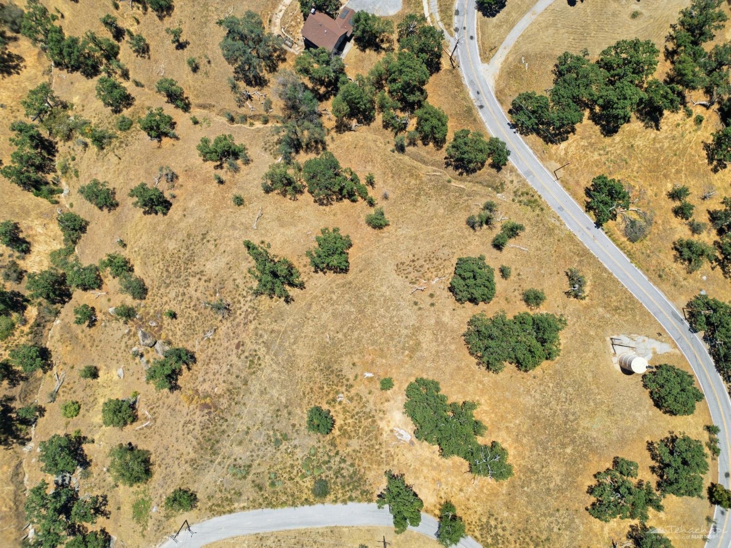 Deertrail Drive photo 19