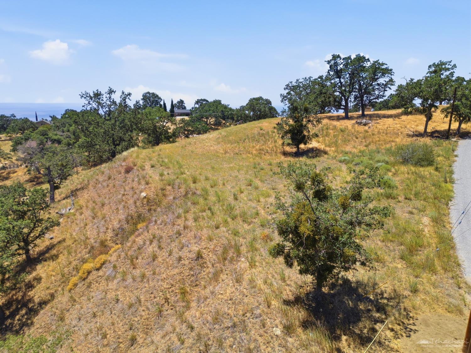 Deertrail Drive photo 17