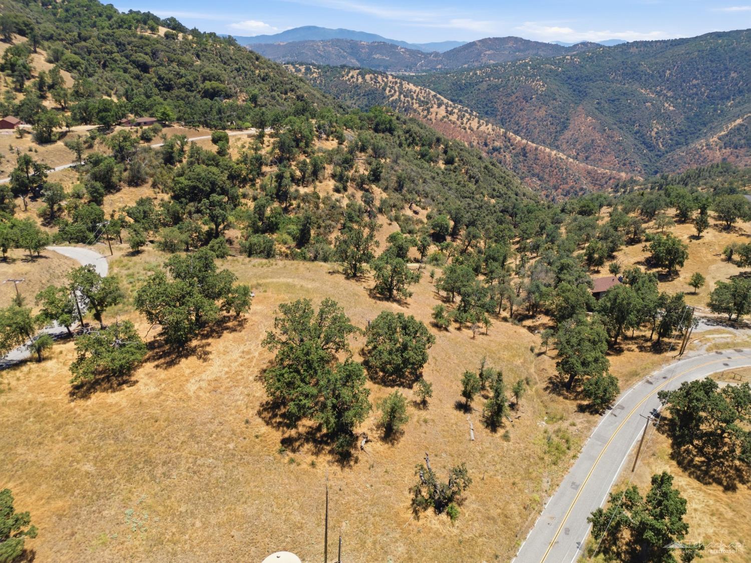 Deertrail Drive photo 23