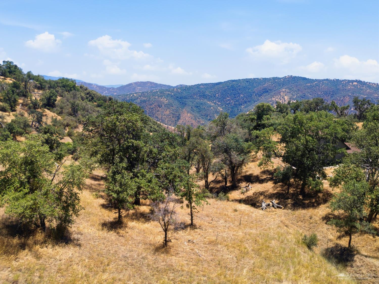 Deertrail Drive photo 15