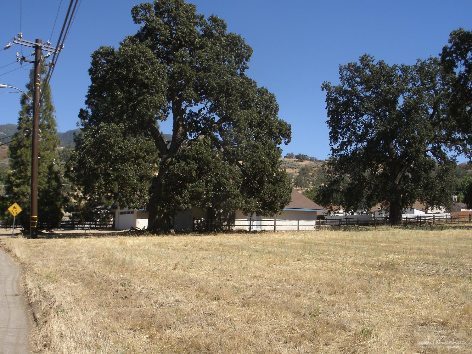 Bold Venture Drive photo 2