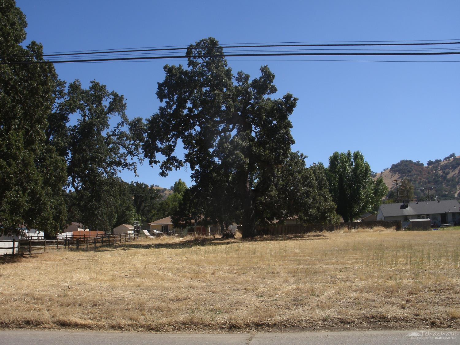 Bold Venture Drive photo 3