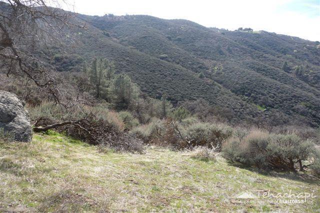 Saddleback Drive photo 2