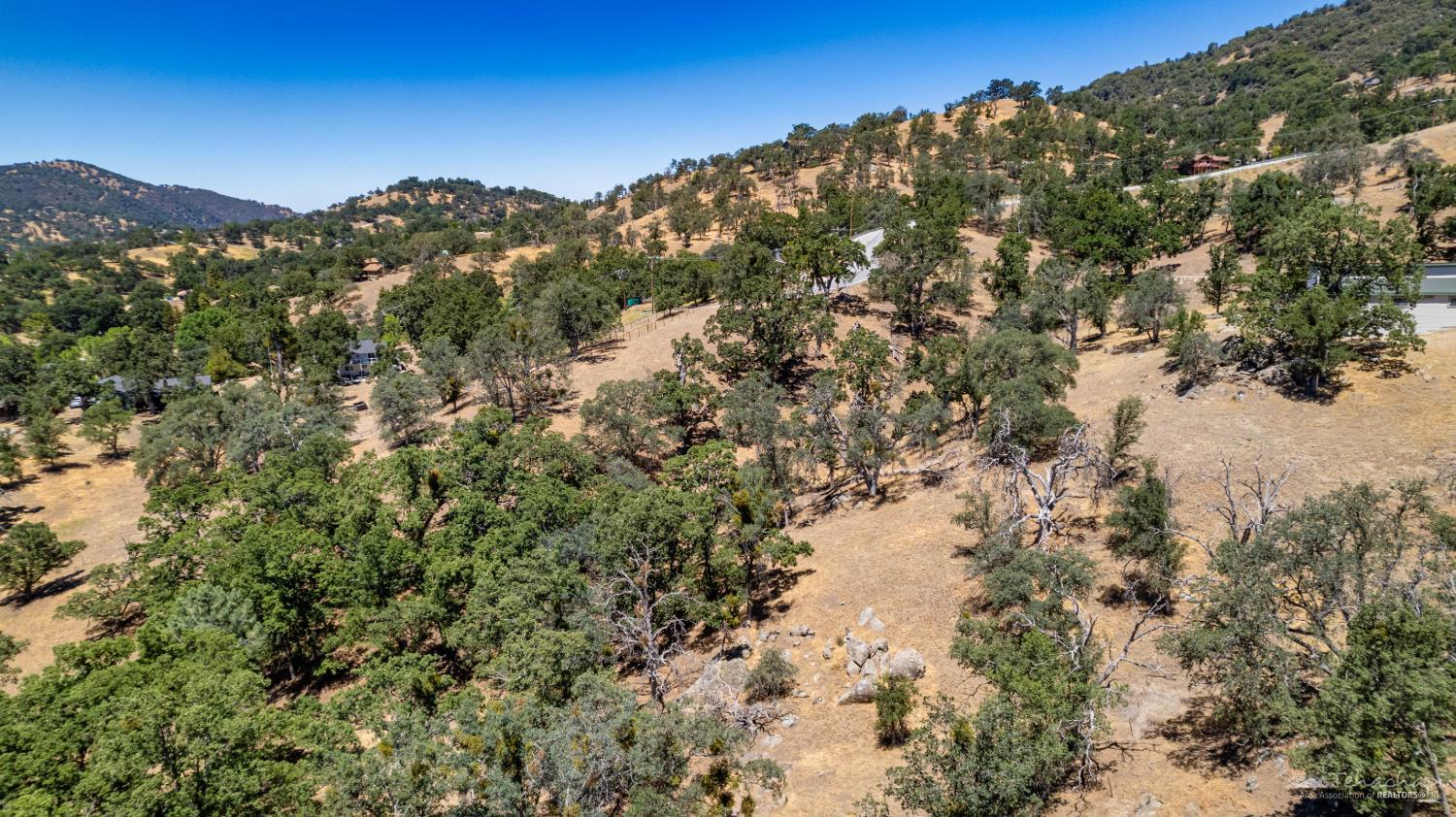 Deertrail Drive photo 12