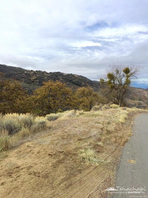 Saddleback Drive photo 4