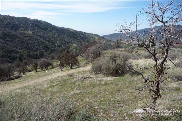 Saddleback Drive, Bear Valley Springs