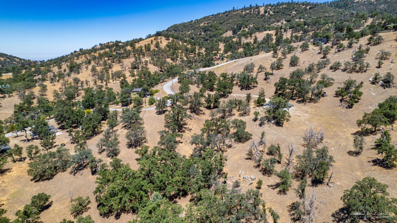 Deertrail Drive photo 9