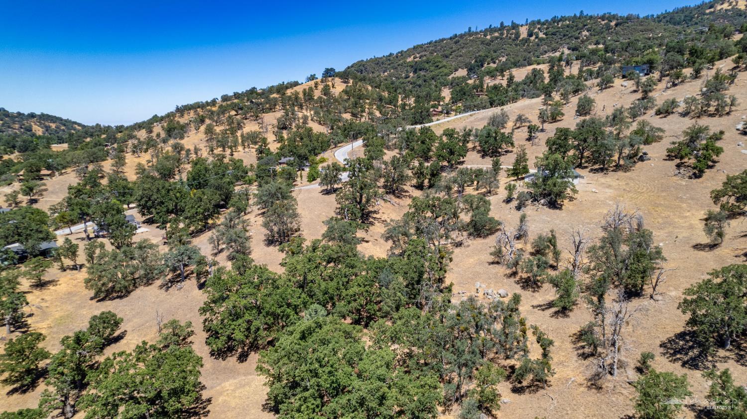 Deertrail Drive photo 11