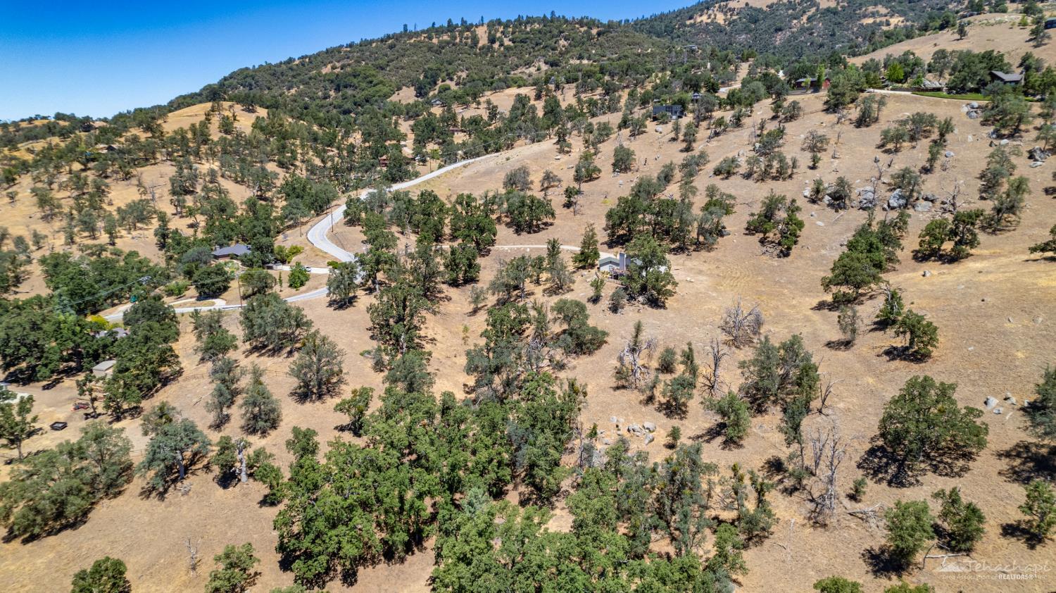 Deertrail Drive photo 10