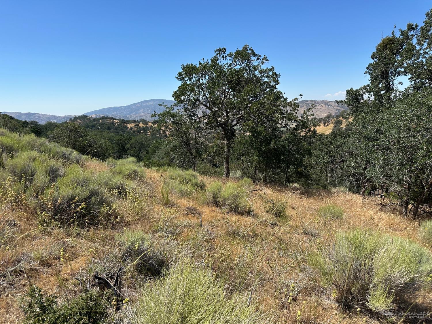 William Tell Trail photo 2