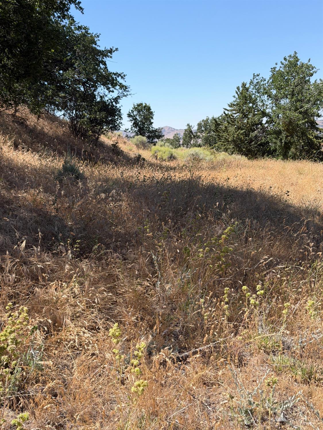 William Tell Trail photo 4