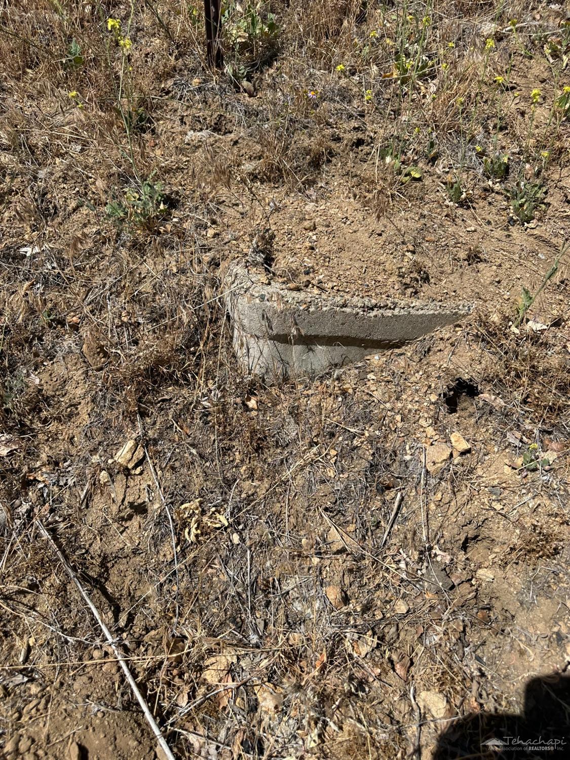 William Tell Trail photo 3