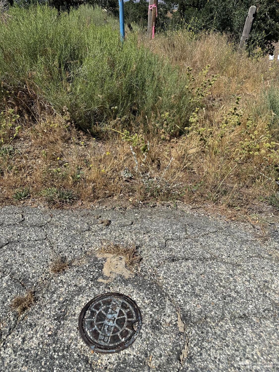 William Tell Trail photo 5