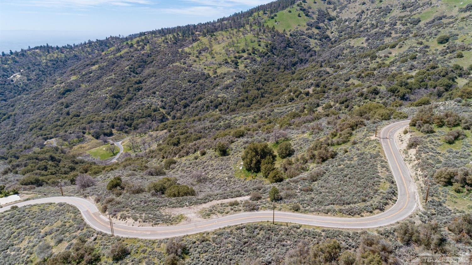 Paramount Drive photo 4