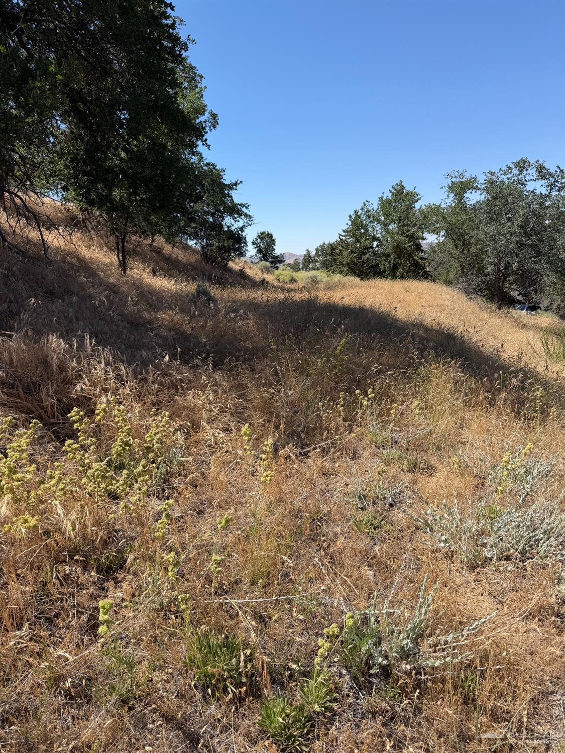 William Tell Trail photo 6