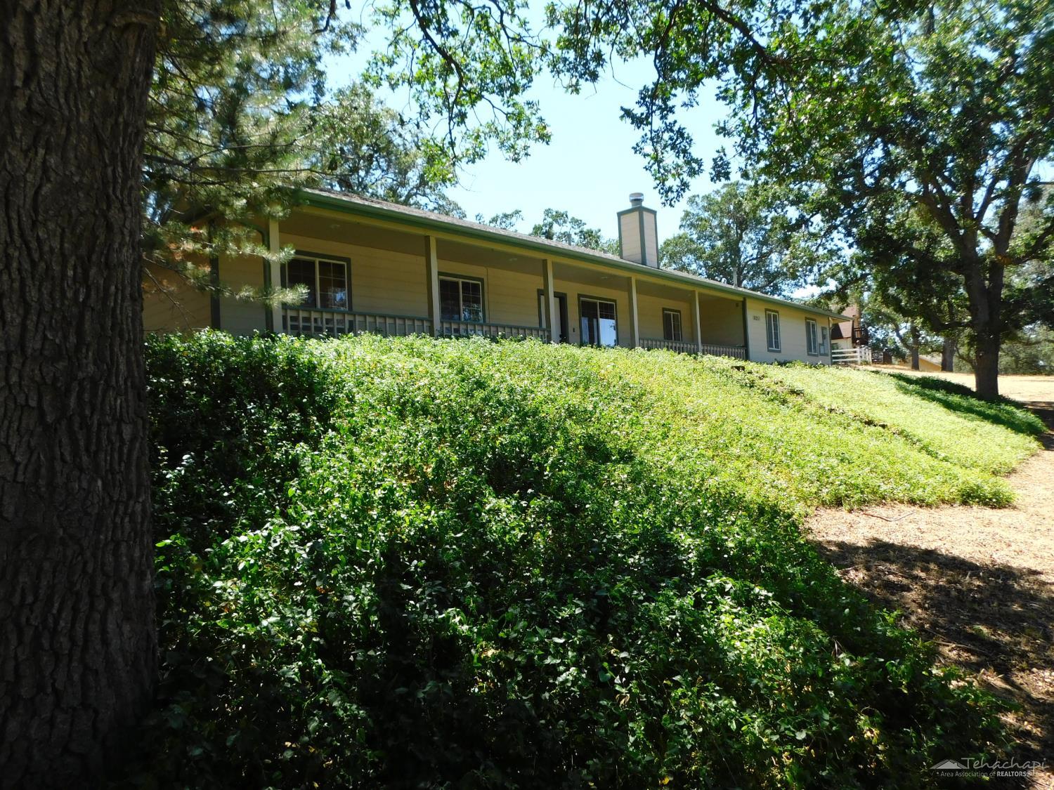 Alps Drive photo 4