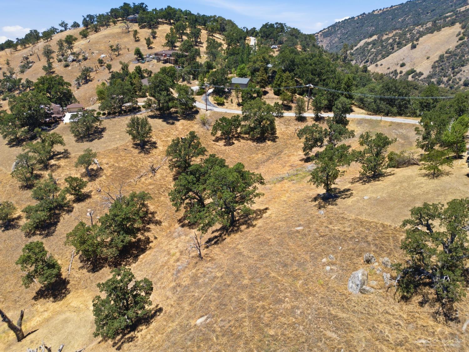 Rolling Oak Drive photo 22