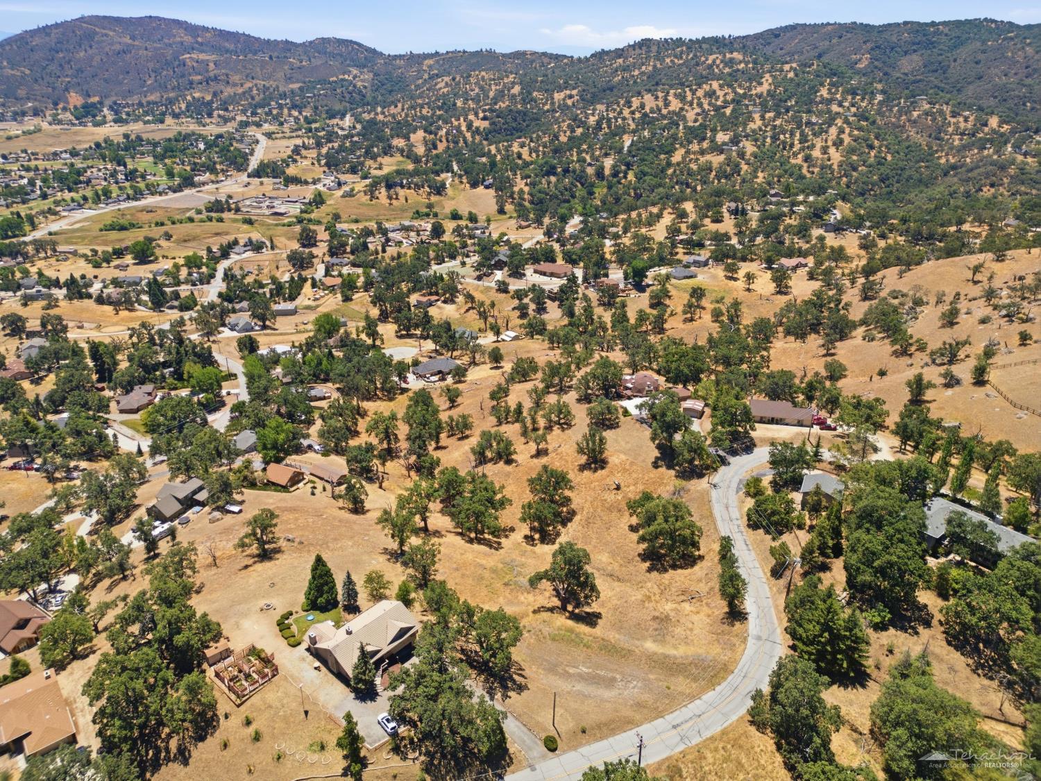 Rolling Oak Drive photo 5