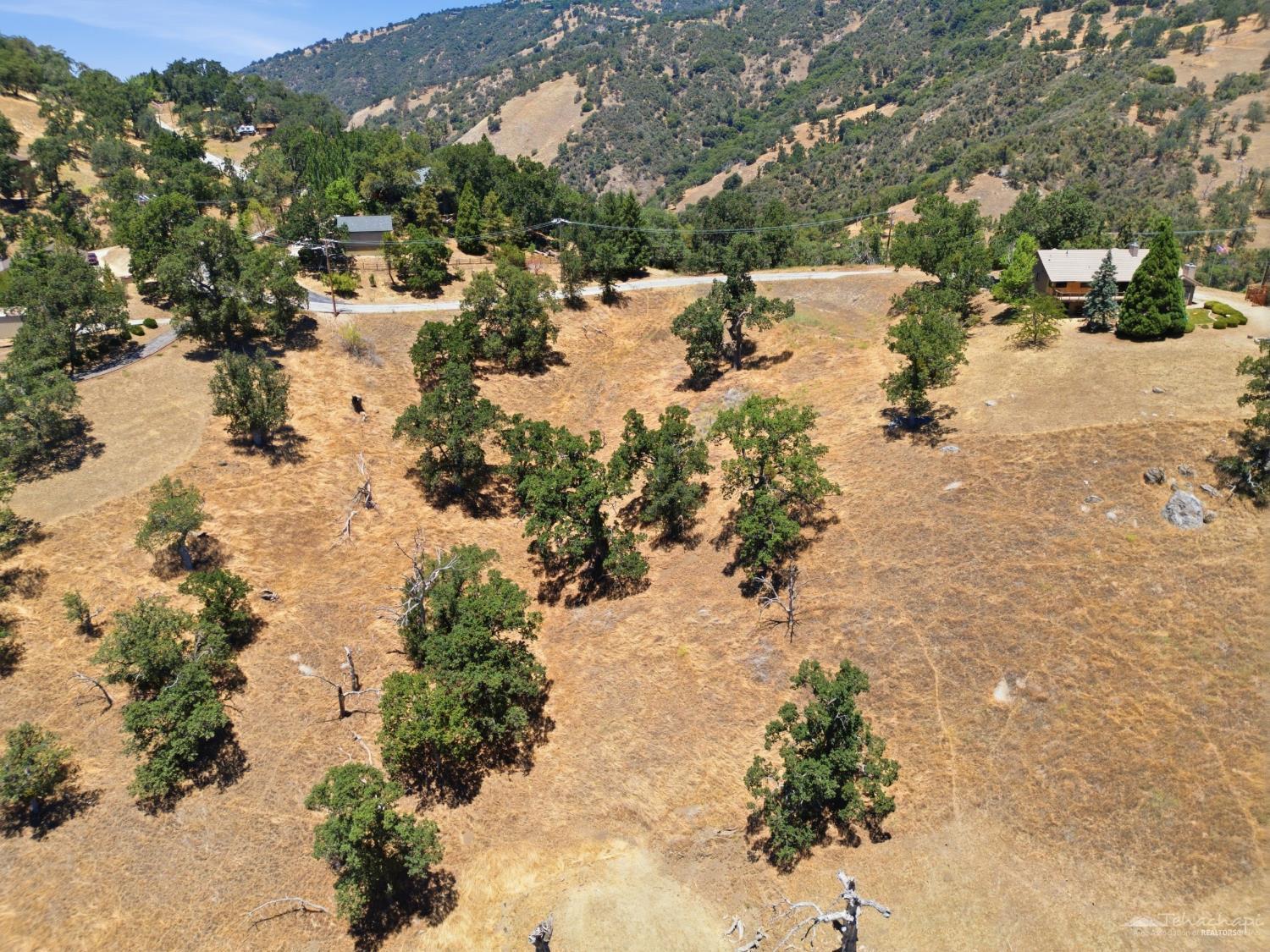 Rolling Oak Drive photo 24